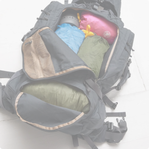 Rinkat, reput ja kassit